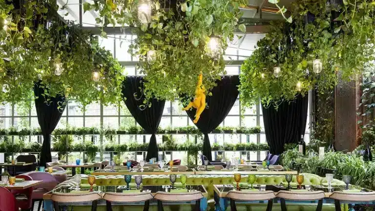 education conference